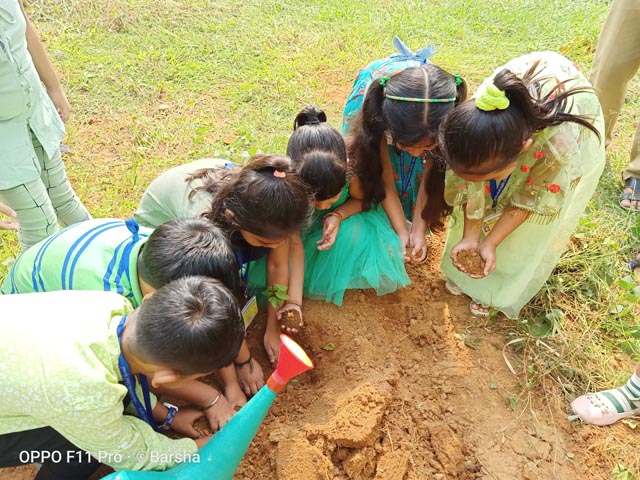 Plant a Sapling Activity