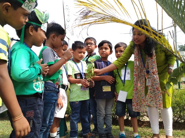 Plant a Sapling Activity