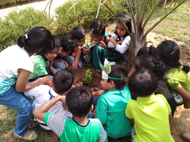 Plant a Sapling Activity