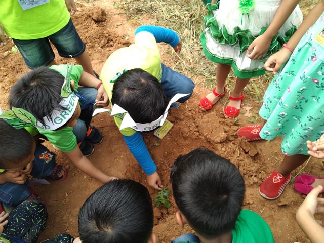 Plant a Sapling Activity