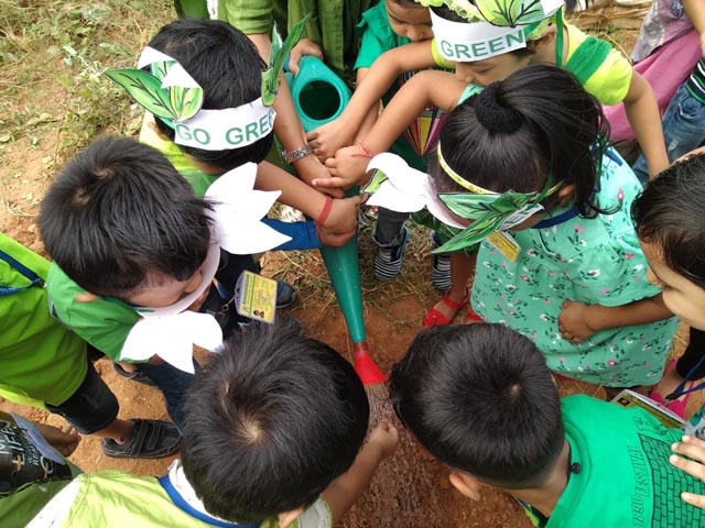 Plant a Sapling Activity